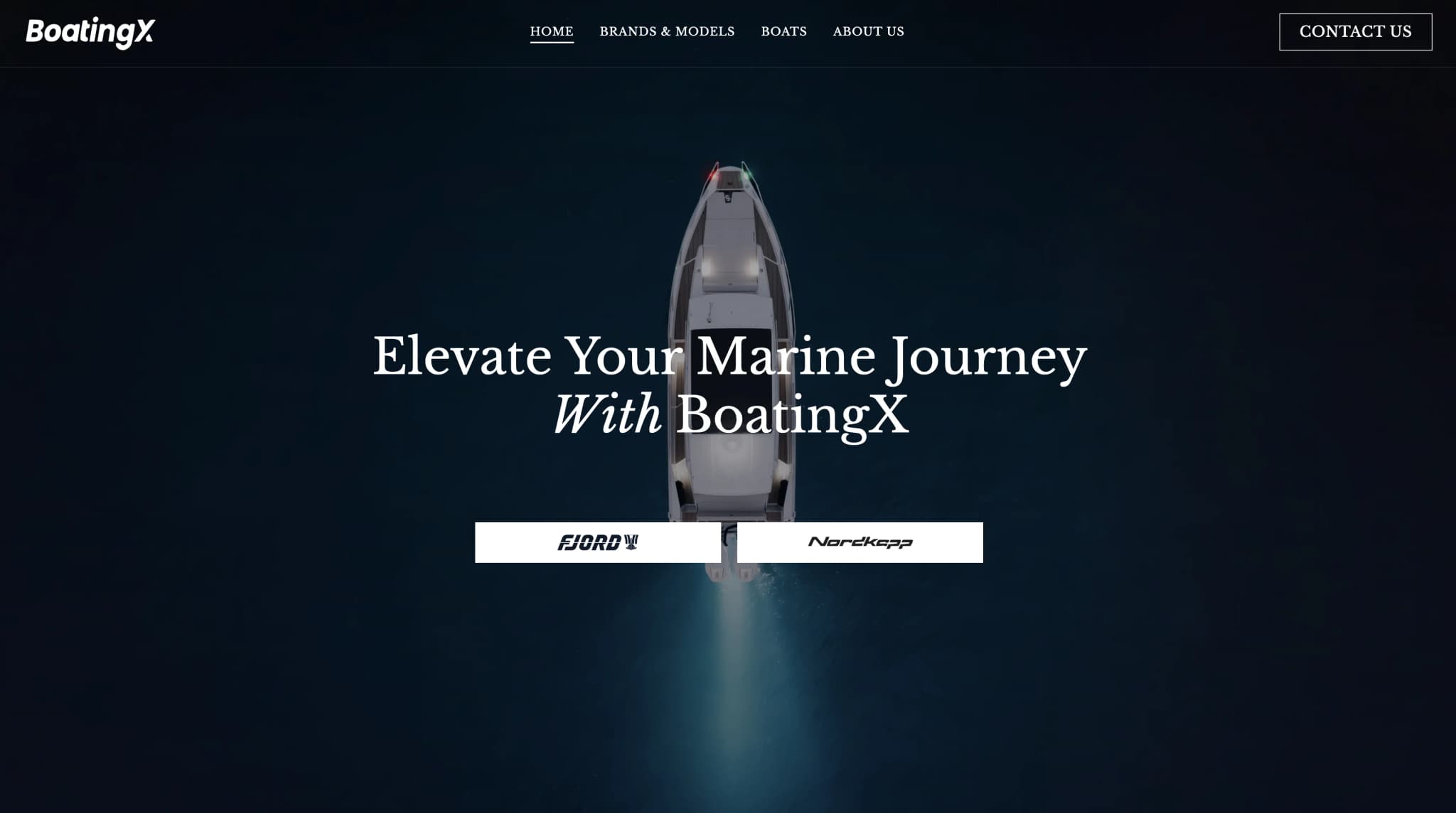 Website project